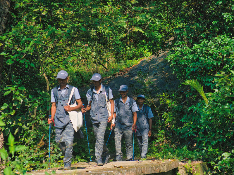 Tamil Nadu Wilderness Experiences Corporation