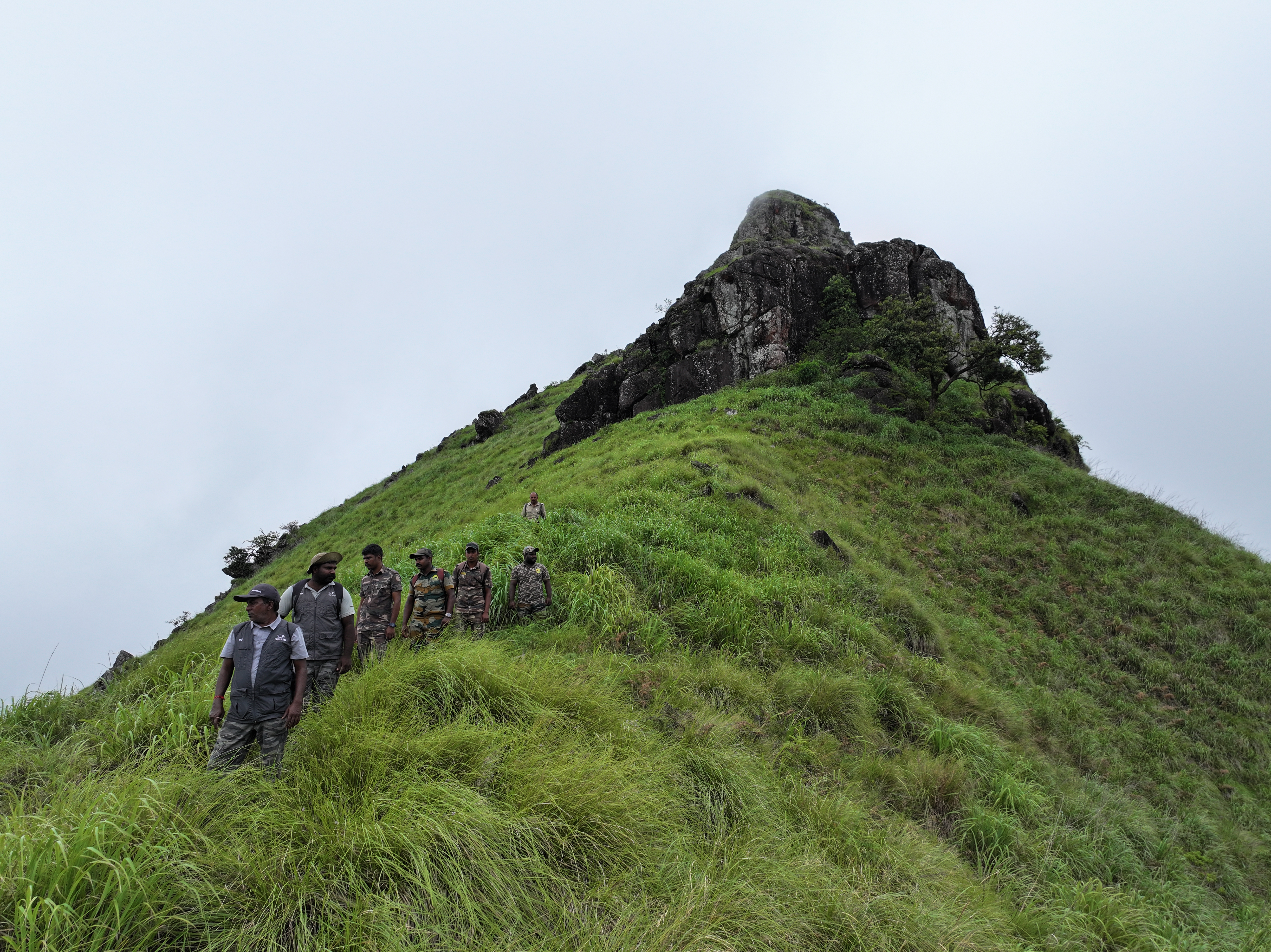 Experience Tamil Nadu's wilderness