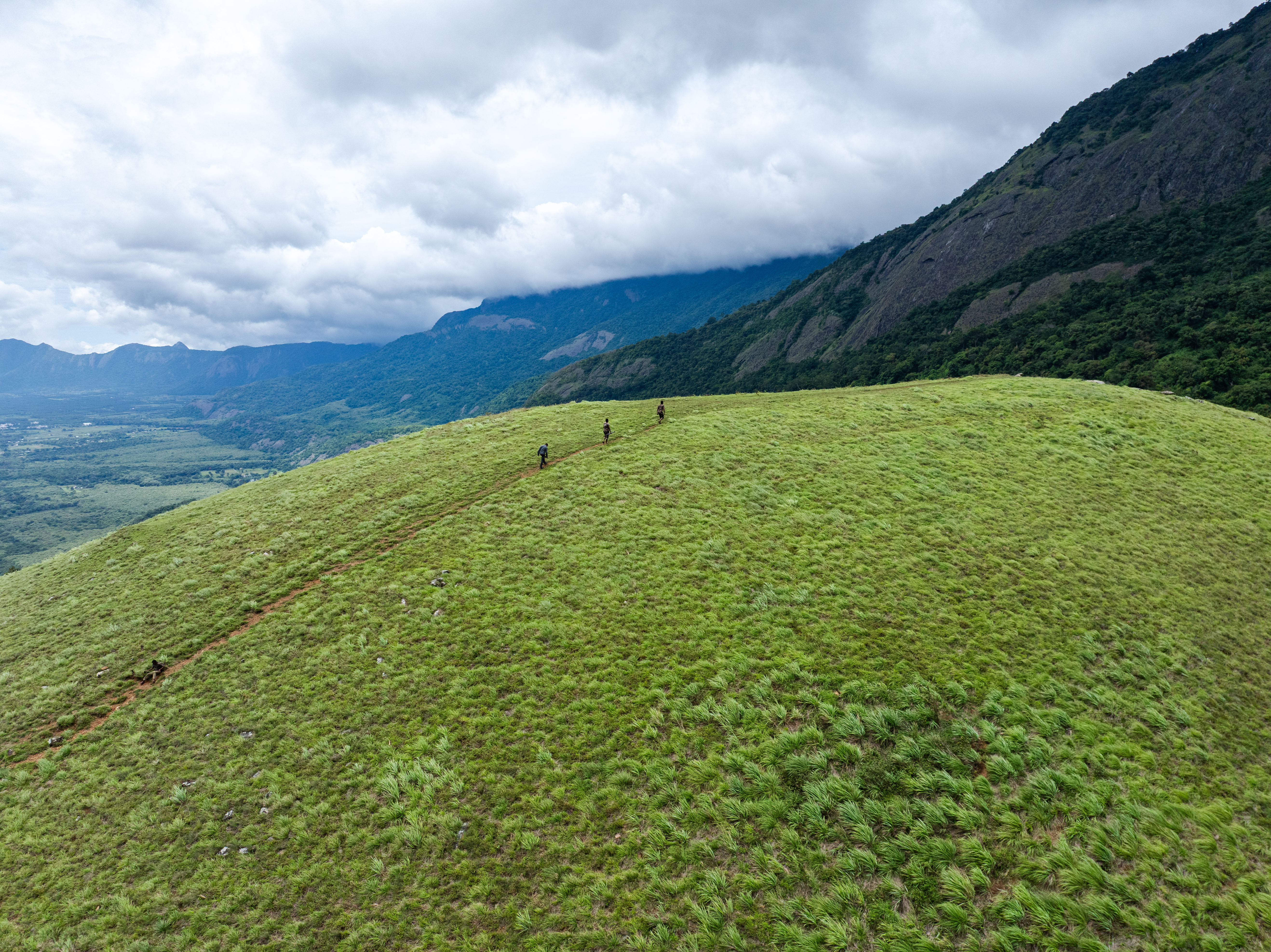 TNWEC – Explore the Nature