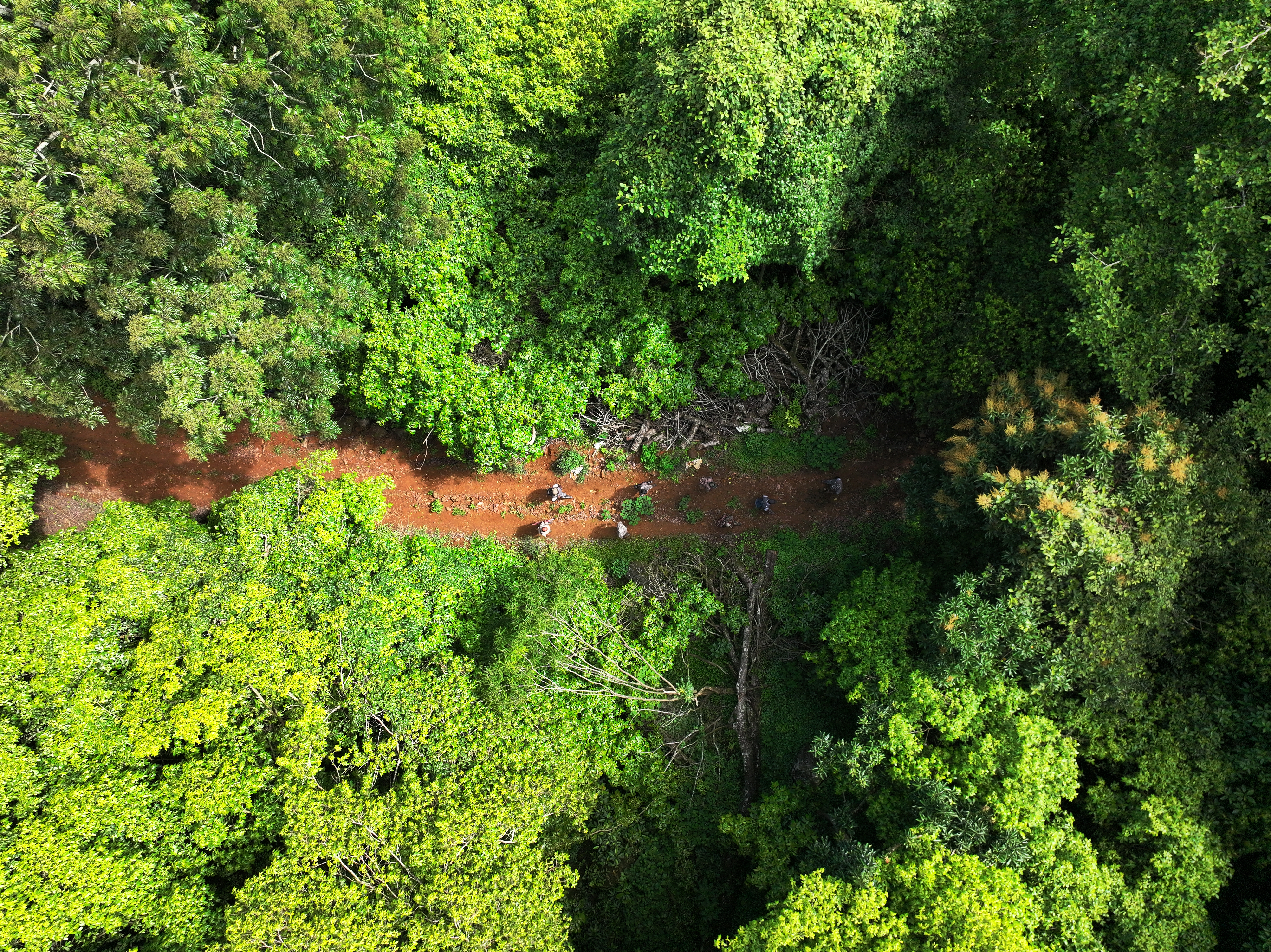 Eco Experiences
