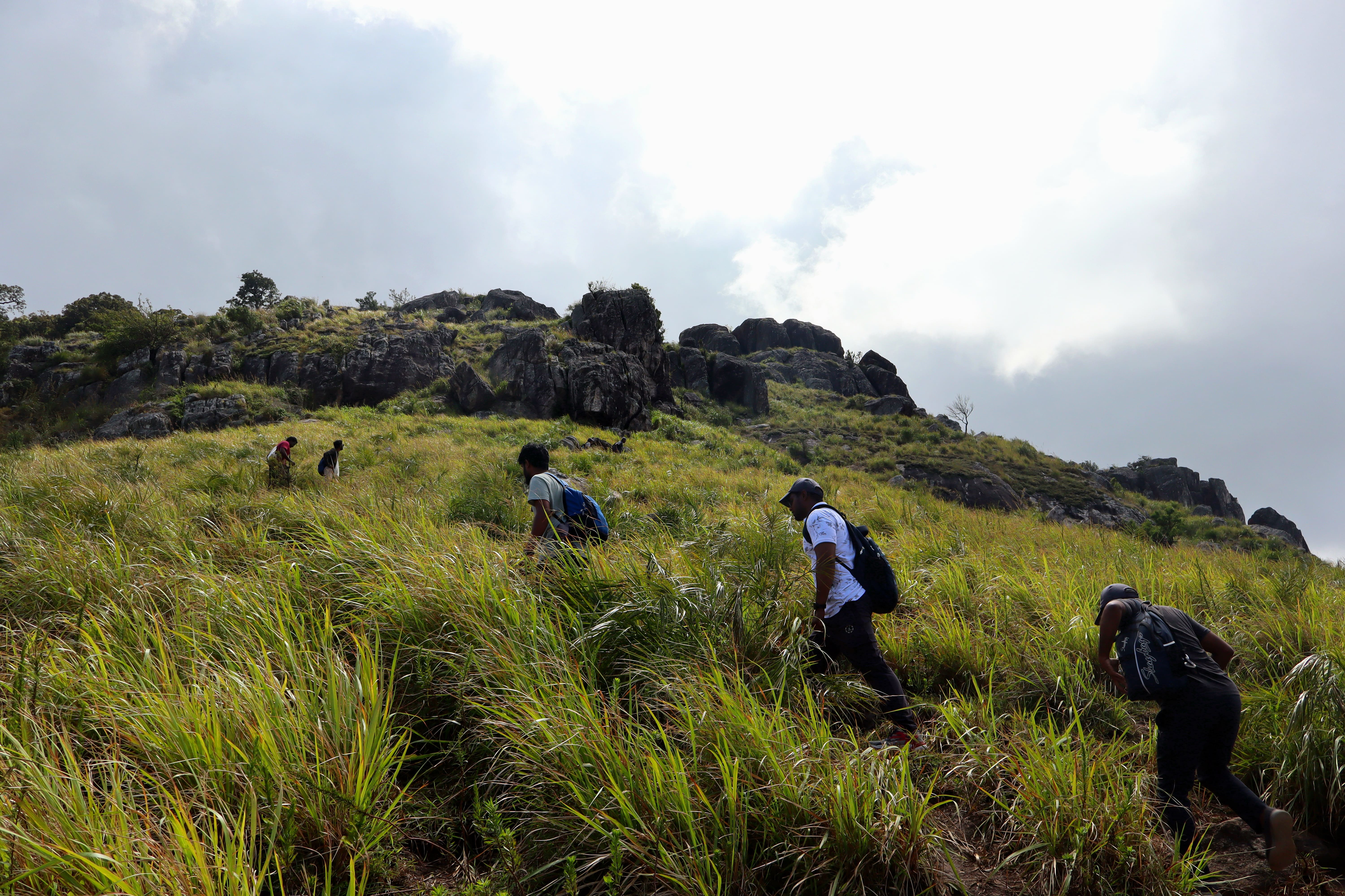 Experience Tamil Nadu Wilderness