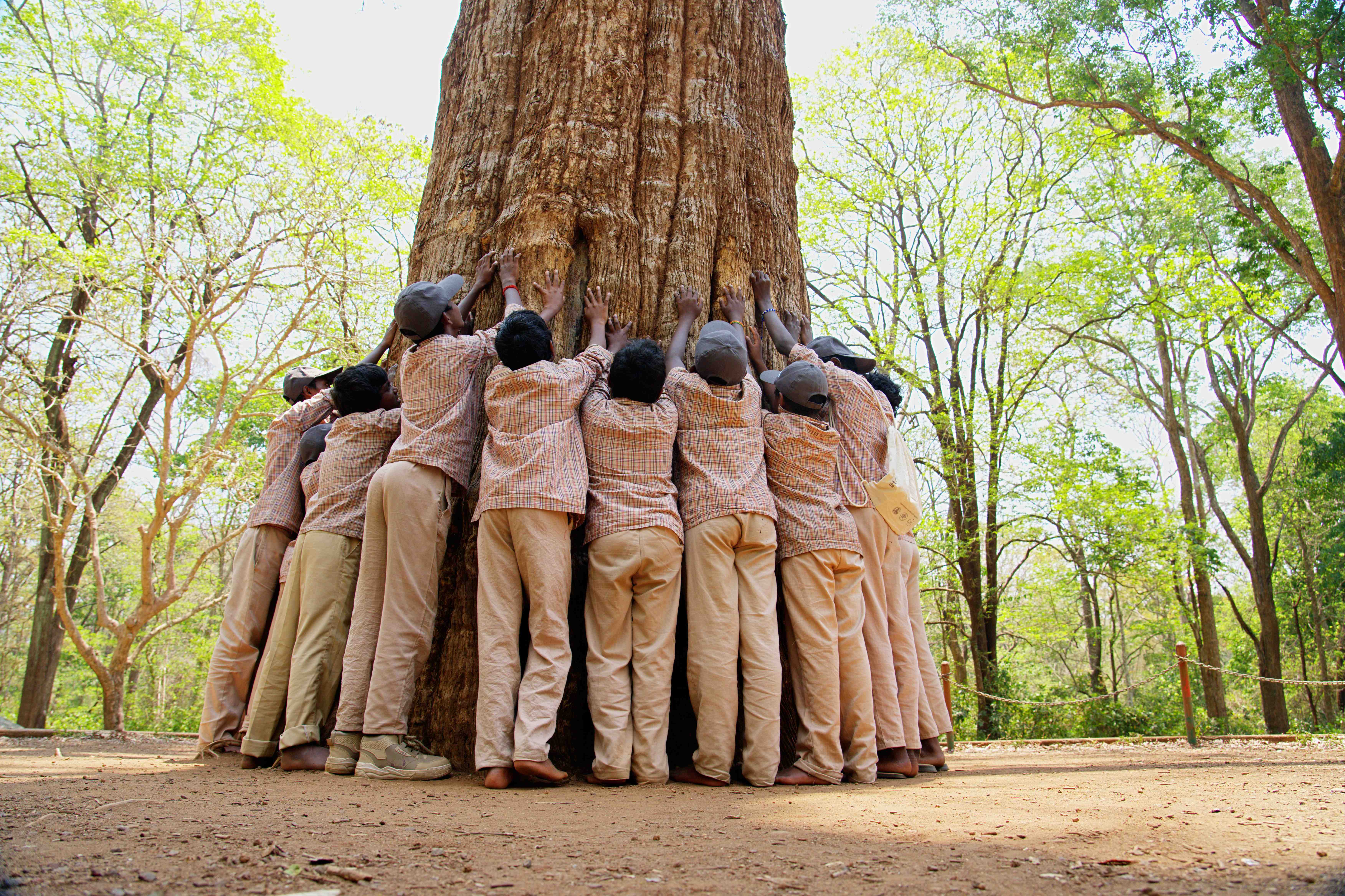  Environment Education Programme (EEP)