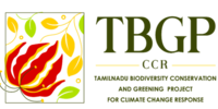 TBGPCCR